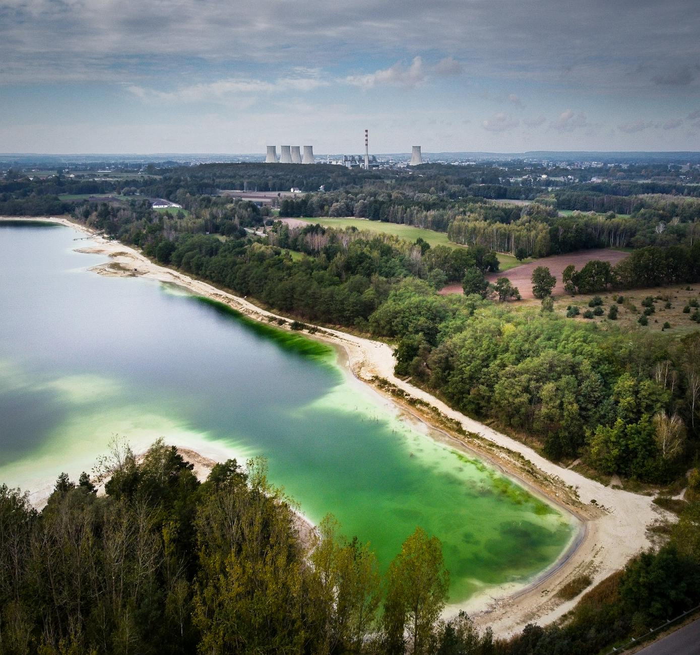 Ilustracja przedstawiająca połączenie zieleni miejskiej i symboli rozwoju biznesu w Sosnowcu, nawiązująca do ekologii i biznesu.